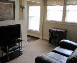 Apt. D Living Room